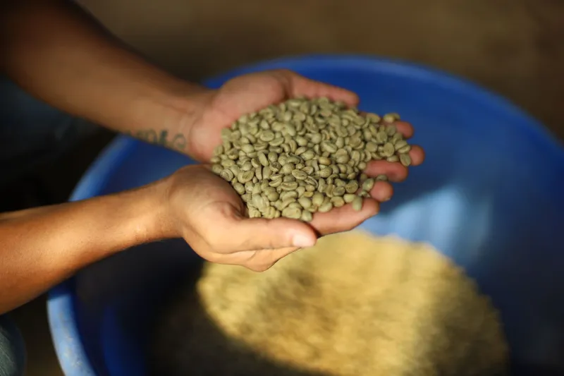 Beyond the Buzzword: What Direct Farmer Relationships Actually Deliver to Your Cup