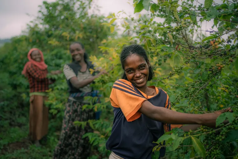 The Farm Behind the Flavor: How a Coffee's Human Story Transforms What You Taste