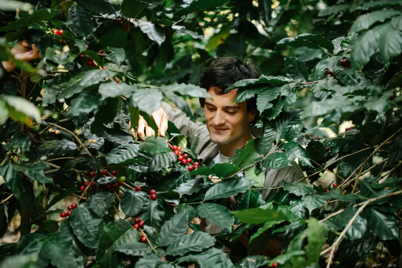 Beyond the Famous Names: A Guide to Exceptional Coffee from Overlooked Origins