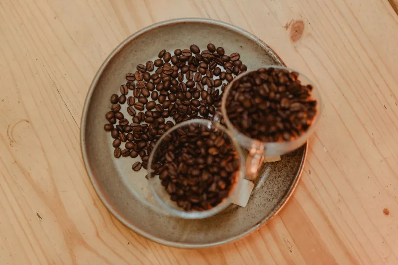 Learning to Trust Your Palate: A Practical Guide to Reading Coffee Tasting Notes