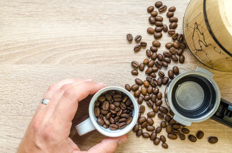 Your Palate Has a History: Why Coffee Tastes Different to Everyone—and How to Use That